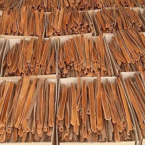 Split Cassia