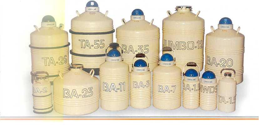 Nitrogen Containers
