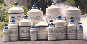 Liquid Nitrogen Cryocan