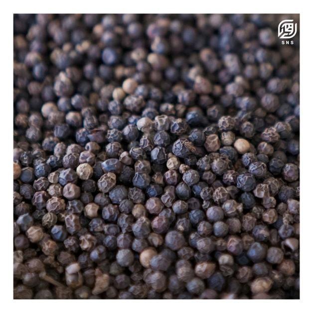 Black Pepper