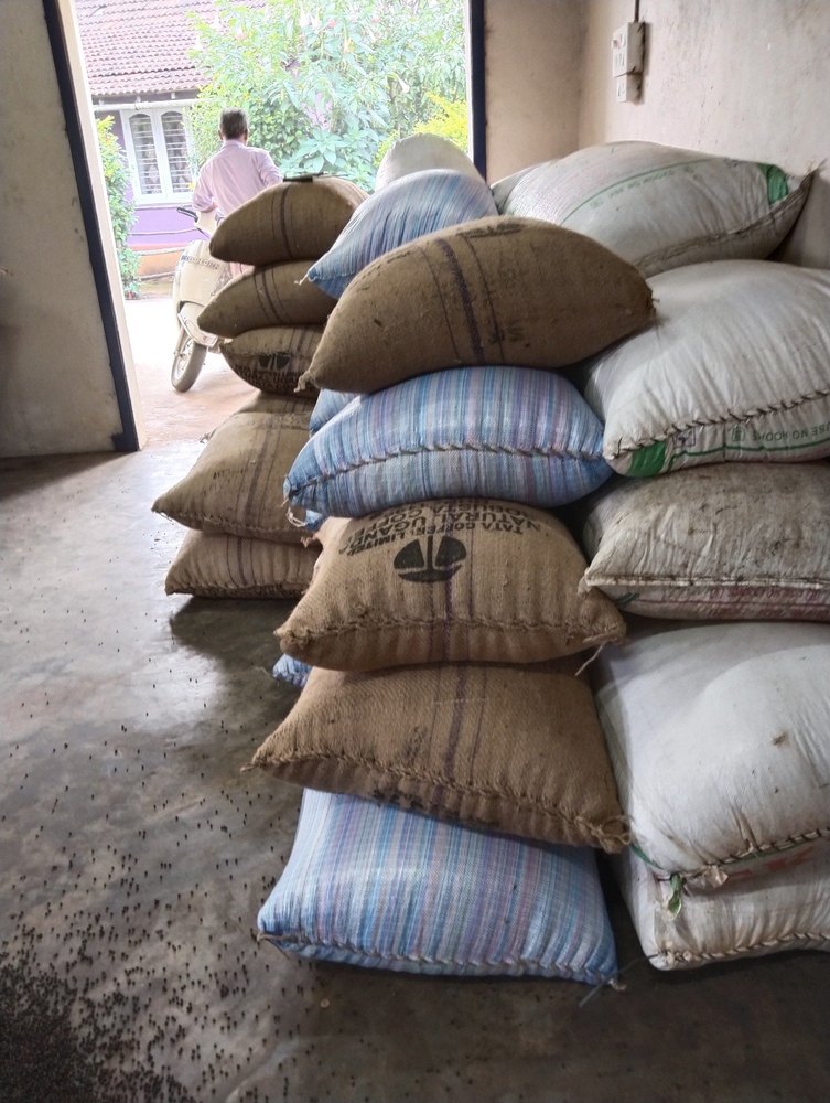 Organic Black Pepper Husk