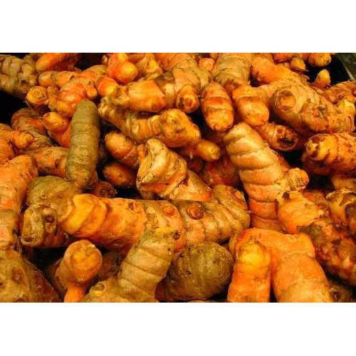 Erode ORGANIC FRESH TURMERIC, For kombucha drink