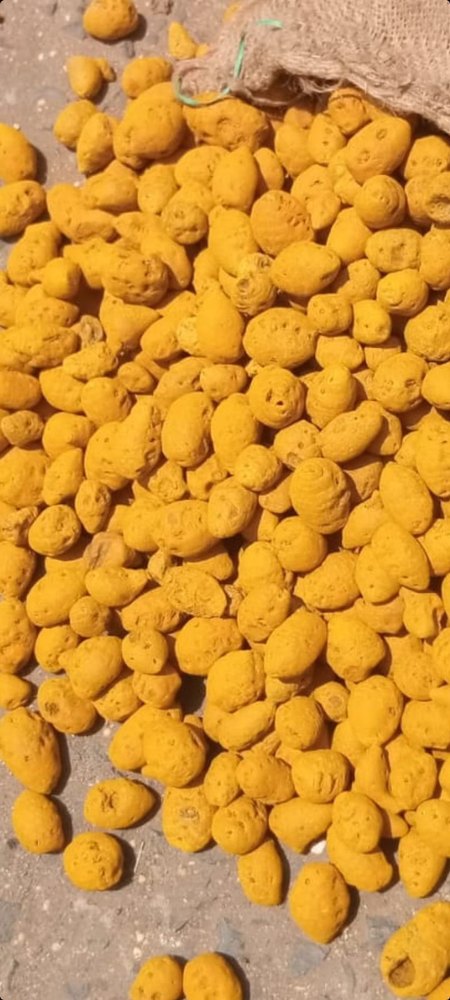 Turmeric Bulb - 1 Quality Selam, 50 Kg