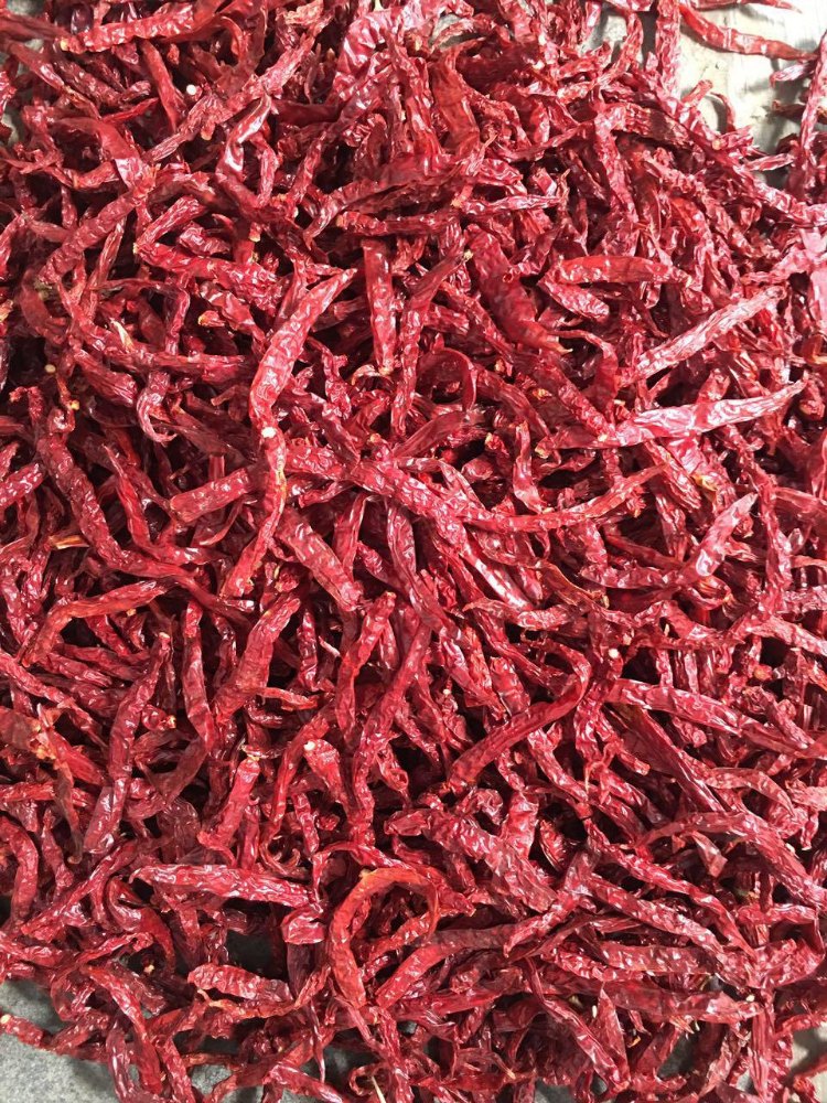 Red 355 Byadgi Chilli