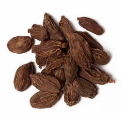 Alcha Best Quality Black Cardamom, Packaging Size: 50 Kg