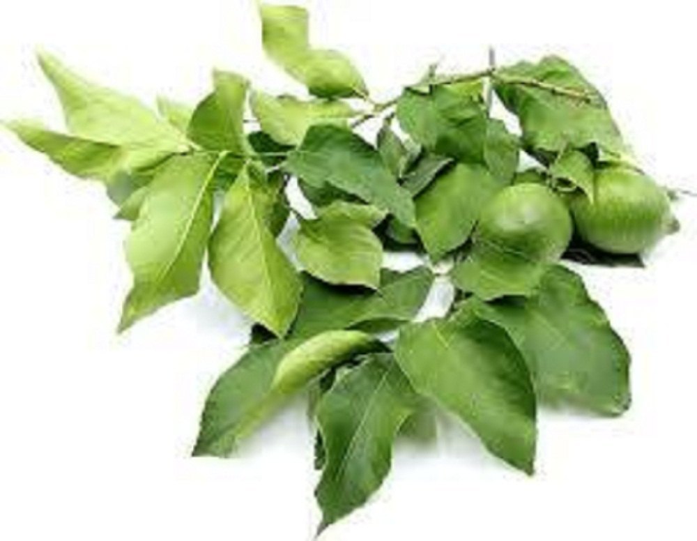 Organic Lemon Leaves