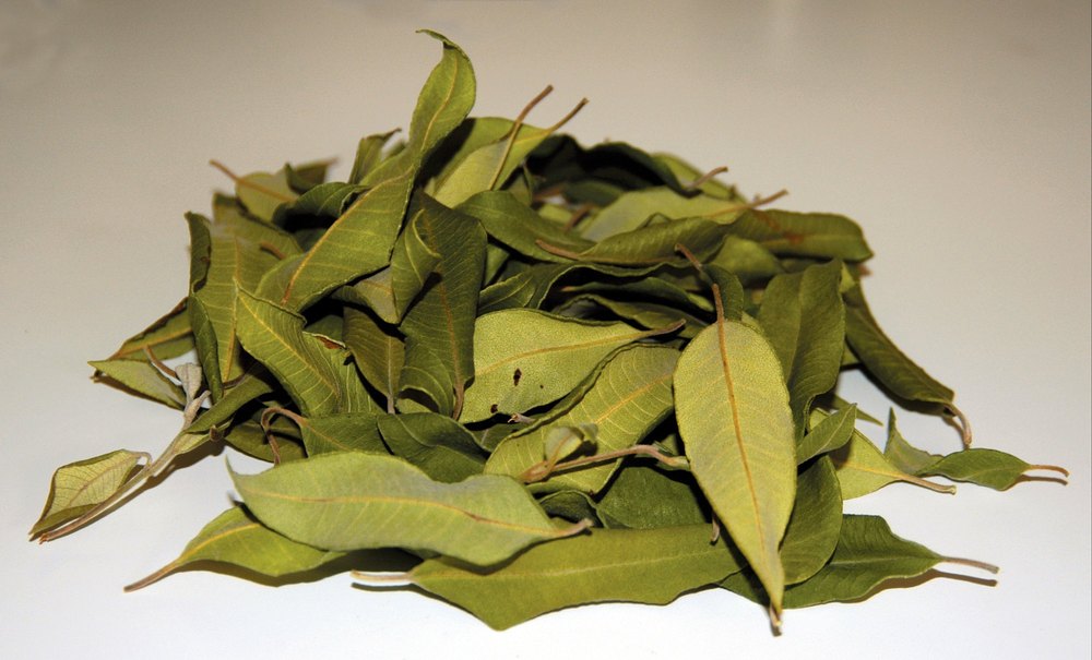 Lemon Leaf Dry, Elumichai Elai