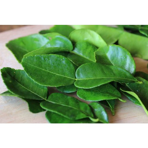 Kaffir Lime Leaves