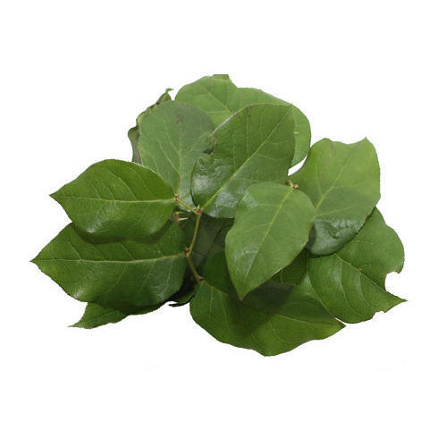 Lemon Leaves