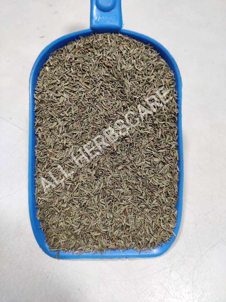 Thyme Leaves