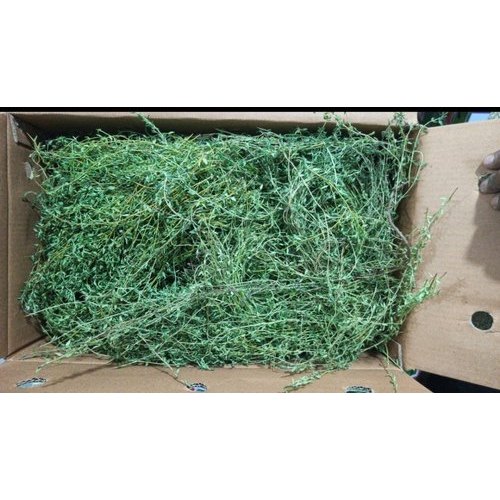 Fresh Thyme Leaves