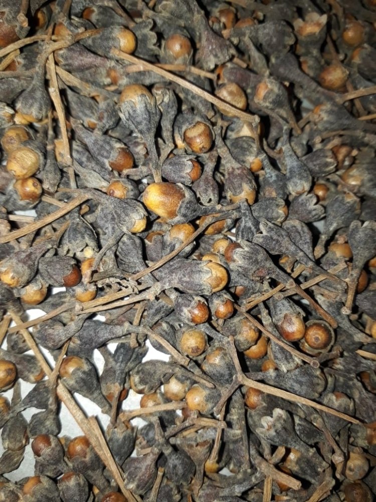 Nagkesar Black, Is It Organic: Natural, Packaging Size: Loose
