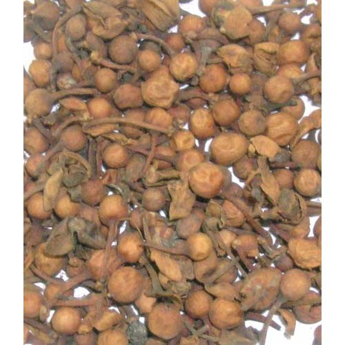 Mesua Ferrea Nagkesar Seed