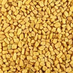Yellow Fenugreek Seeds