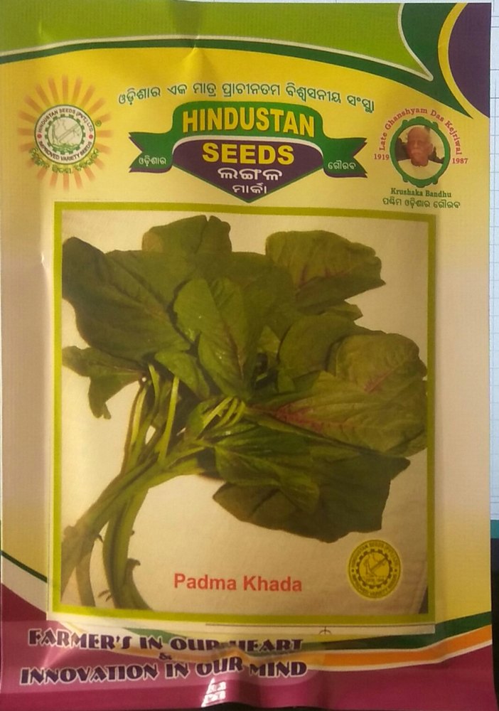 O.P Light Green Khada Seeds ( Padma Khada . ), For Cultivation, Pack Size: 100 Gm