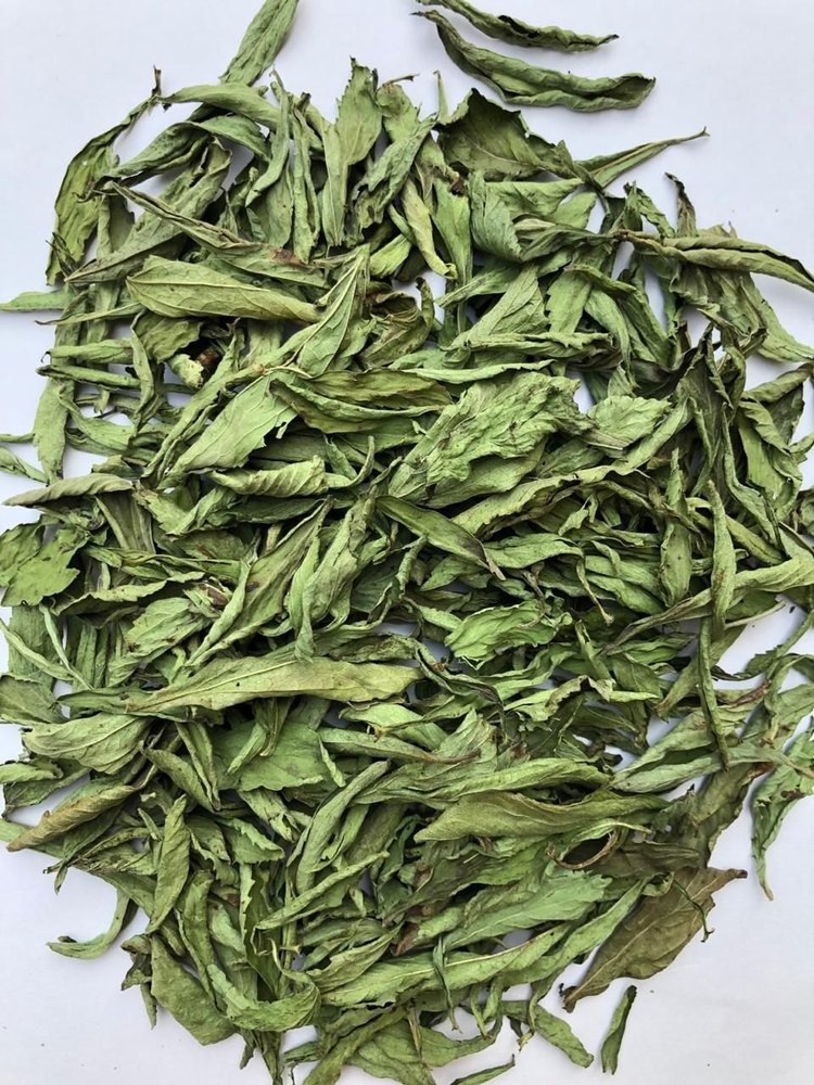 Dry Stevia Leaves