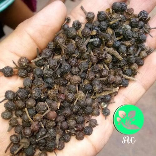 Brown Organic Cubeb Pepper