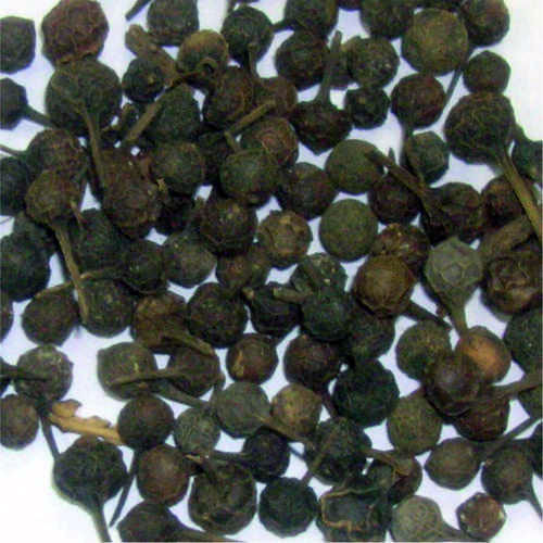 Shital Chini