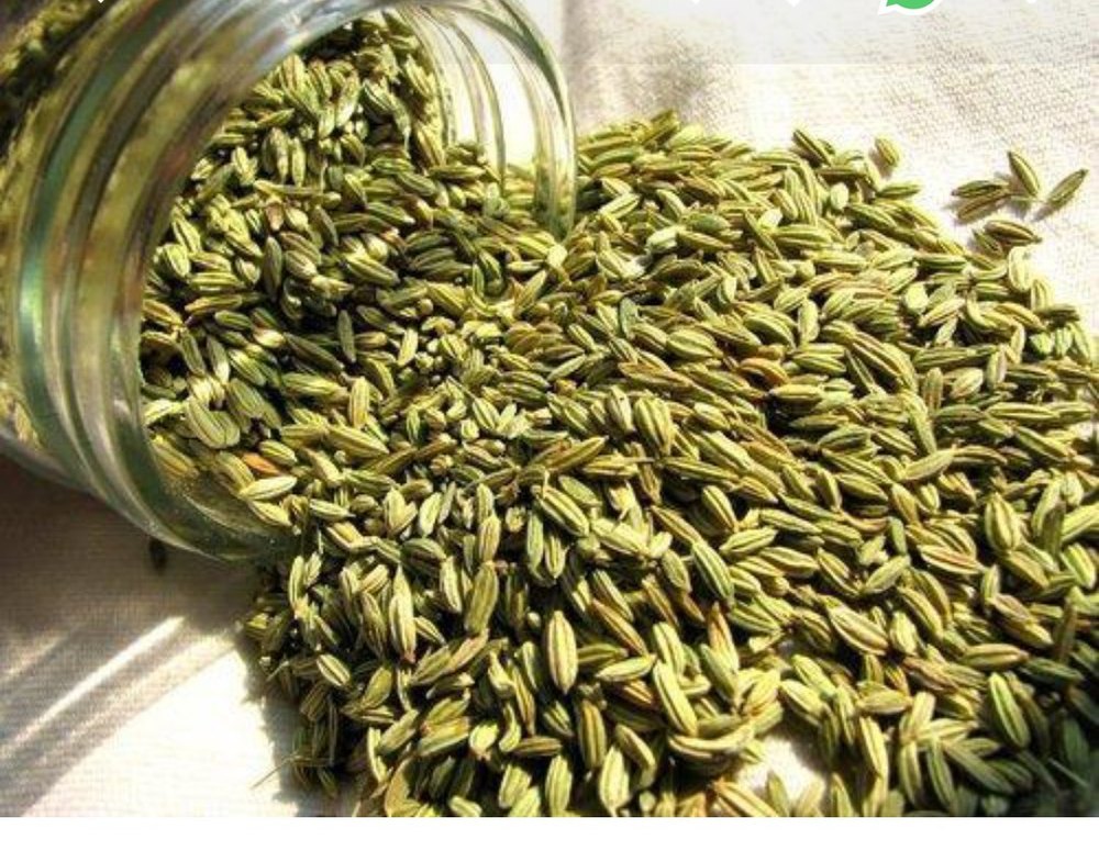 Tulsi Green Fennel Seeds
