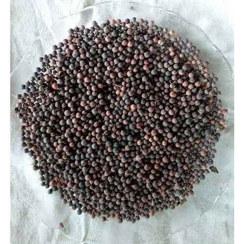 Embelia Ribes Burm Baibidang, Packaging Type: Plastic & Jute Bag