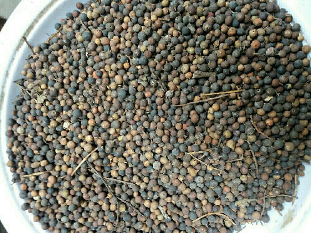 Manual Vaivadang, Packaging Type: Bag, Packaging Size: 50kg