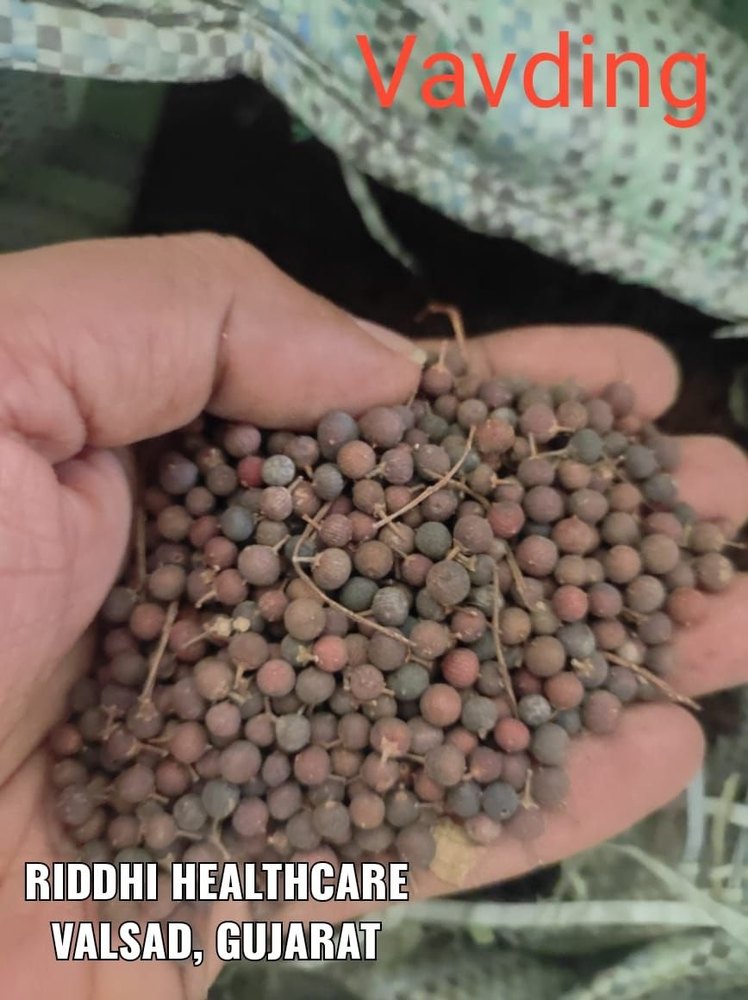 Vavding Embelia Ribes