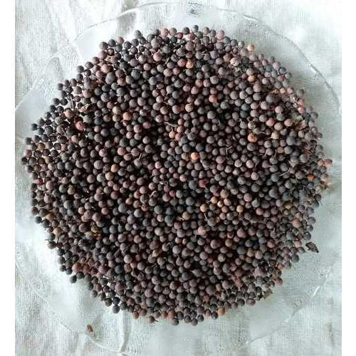 Baibidang Seeds, 25 Kg