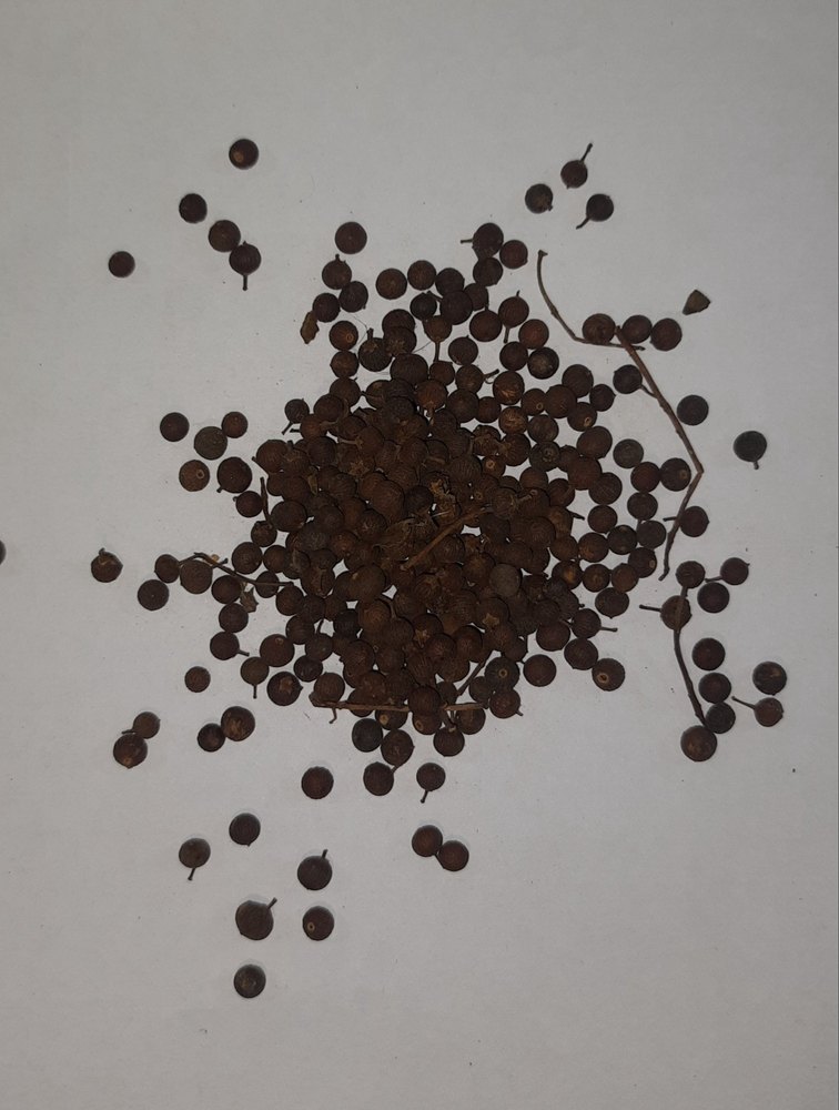 Baibidang Vaividang Red Seed