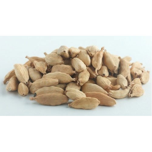 White Cardamom, 1-5 Kg