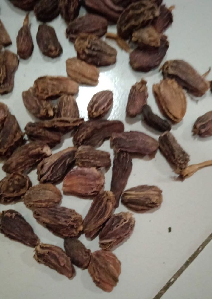 Dry Spices Black Large Cardamom