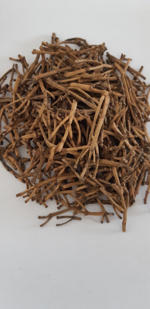 Indian Origin Natural Clove Stem