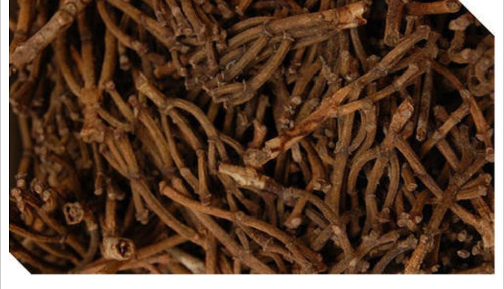 Brown Loose Clove Stems
