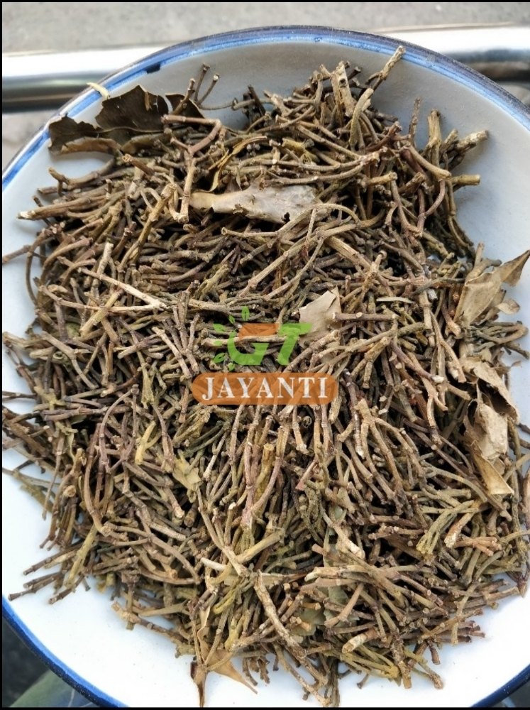 Clove Stem, Packaging: 30/50kg bag