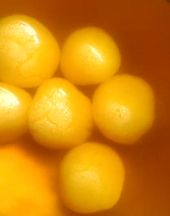 Rajbhog, Packaging Size: 17 Kg, Packaging Type: Tin Container