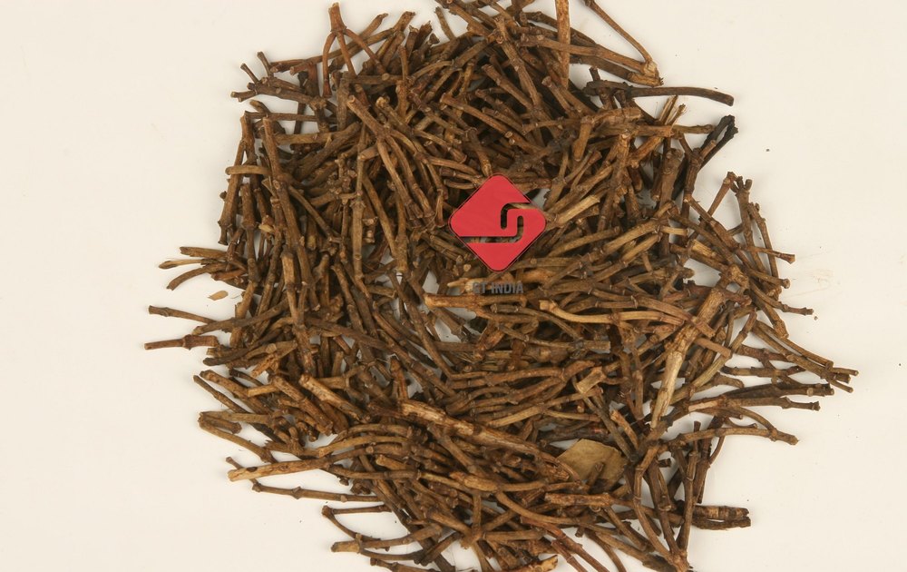 Dried Clove Stem