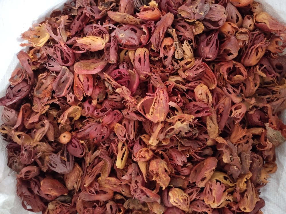 Red Nutmeg Flower