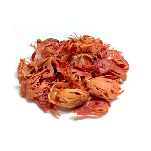 Nutmeg Flower