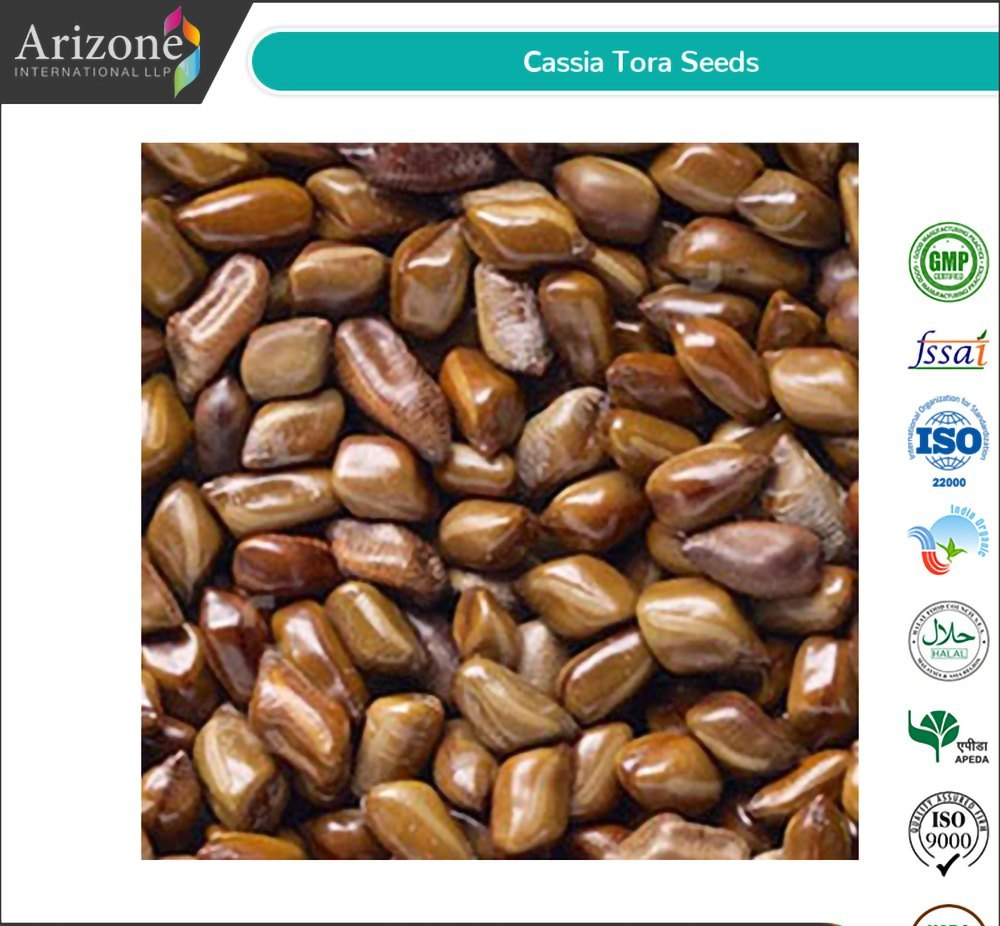 Dried Cassia Tora Seed, Packaging Type: PP Liner Bag, Packaging Size: 25kgs