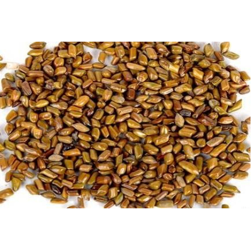 Cassia Tora Seeds - Puwad - Fuwad For Agriculture