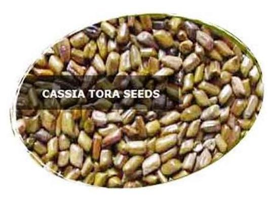 Cassia Obtusifolia