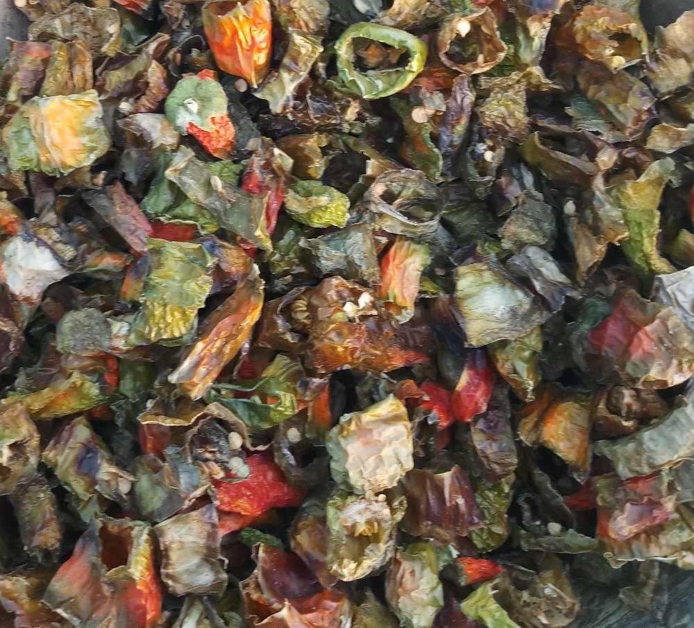 Dried Green Chilli