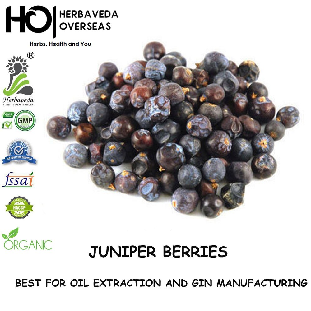 Juniper Berrry Hauber