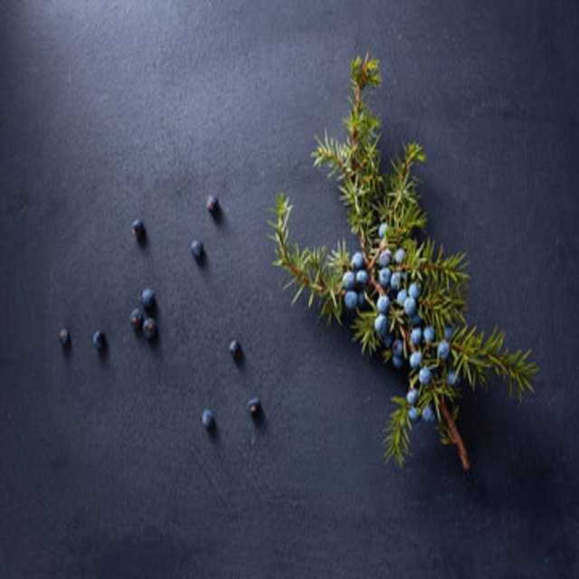 Juniper Berries