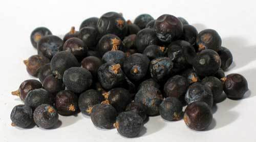Black HOWBAIR (JUNIPER BERRIES), Howbear