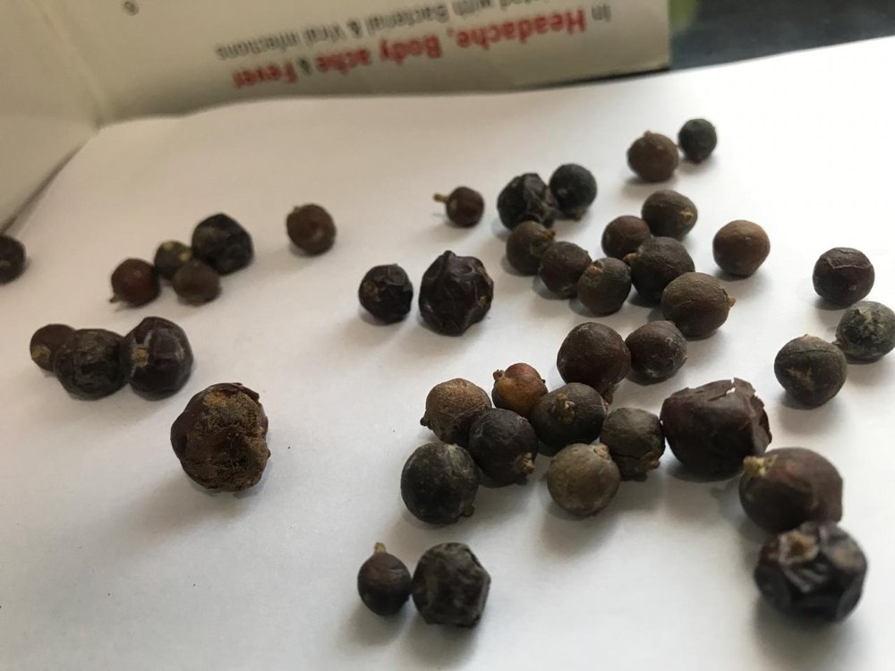 Juniper Berries