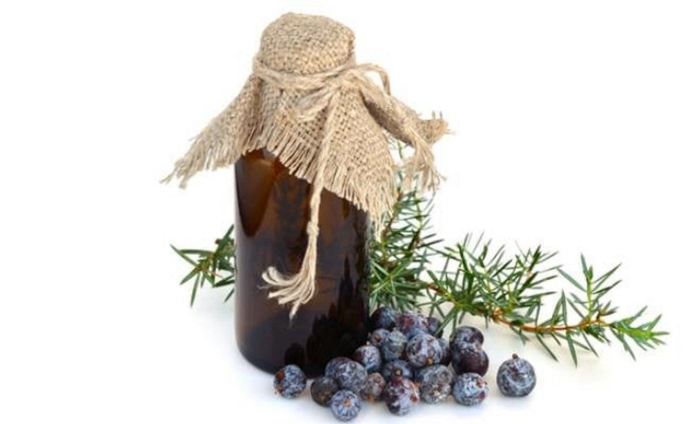 Juniper Berry