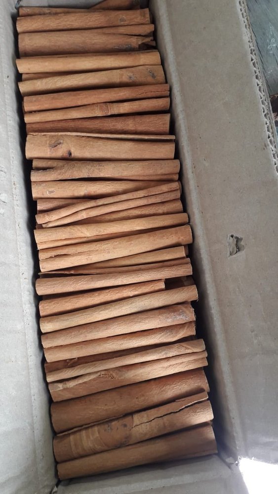 Cigar Cassia
