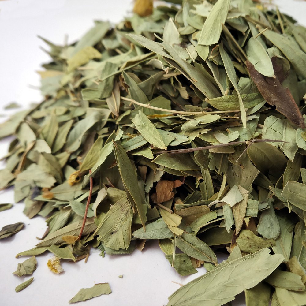 BIOPREX 2 Year Senna Leaves, Packaging Size: 25 kg, Packaging Type: Bales