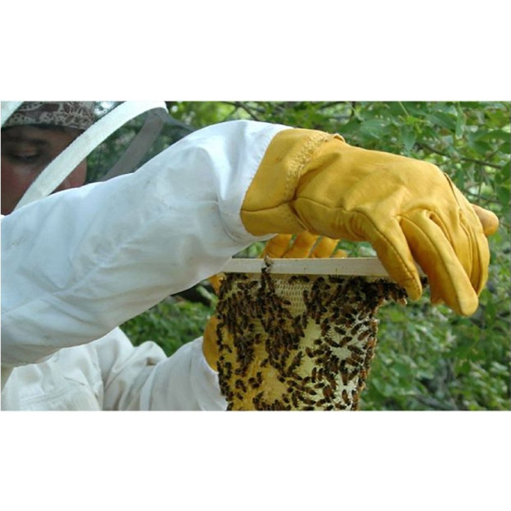 Yellow Hosiery Bee Gloves, Size: Medium