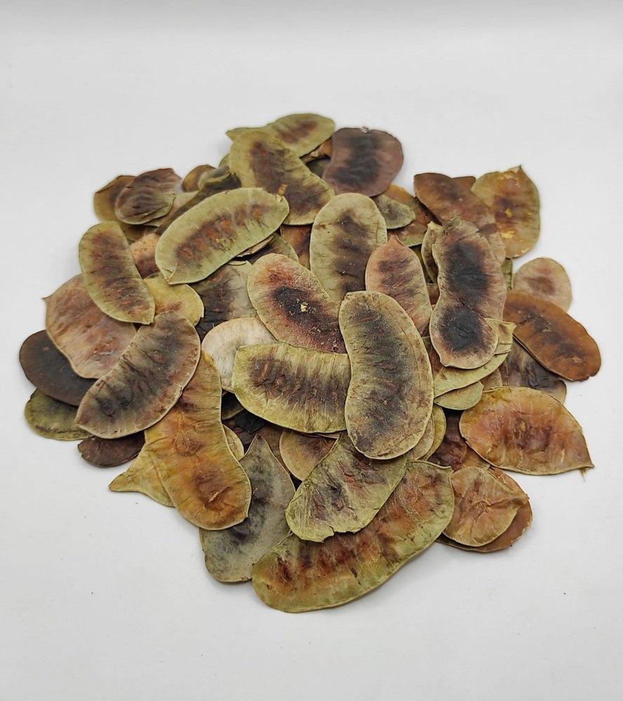 Senna Pods
